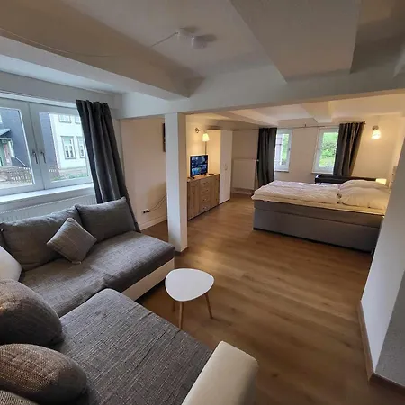 Hima-fereinhaus-harz 160 Qm Hotel 4*
